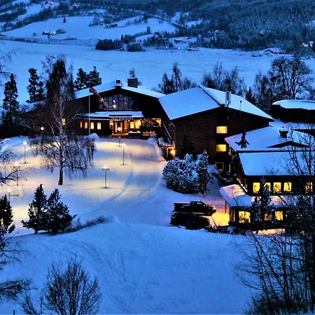 Otel Honne Biri