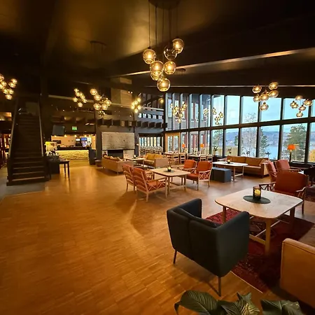 Hotel Honne Biri